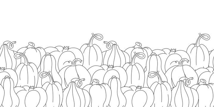 Pumpkins Seamless border. Black and white outline harvest vector hand drawn pattern. Horizontal endless coloring book page.
