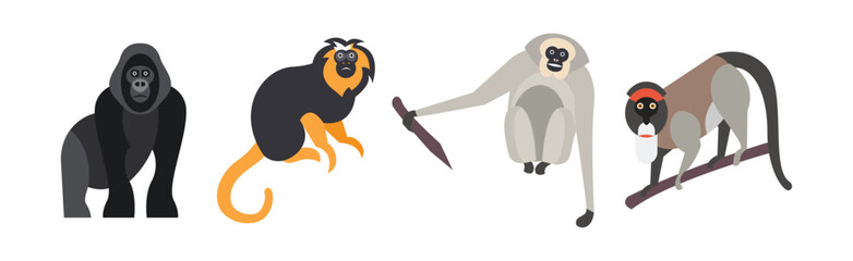 Canvas Print - Different Monkey and Ape Animal Zoo Species Vector Set