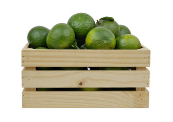 Wall Mural - Green oranges in wooden box isolated on white. 