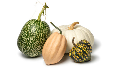 Sticker - Variation of fresh raw edible pumpkins isolated on white background close up