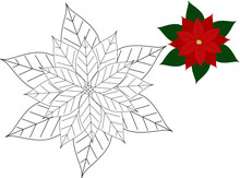 Paint The Poinsettia Flower According To The Color Pattern. Christmas Coloring For Children. Coloring A Christmas Flower With A Color Sample