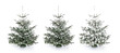 canvas print picture - Bunt geschmückter Weihnachtsbaum mit Lichterkette