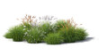 Rendering of a composition of different blooming grasses and plants isolated on white background