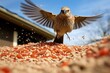 a bird pecking at a large pile of seeds