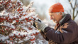 A gardener trims a bush in winter