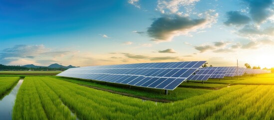 Sticker - Solar panels in a landscape of green grass and cornfield in an Asian country with a clean alternative energy source