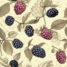Seamless Vintage Pattern With Blueberries And Blackberries. Hand Drawn Pattern On Beige Background. For Fabric, Drawing Labels, Print, Fruit