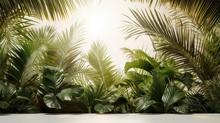  Palms luxury natural background