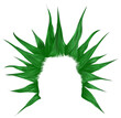 Punk joker hairstyle.Shaggy green hair.Fashion style