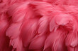 Leinwandbild Motiv Beautiful colorful background of pink flamingo feathers, backdrop of exotic tropical bird feathers