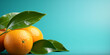 Fresh ripe mandarin with leaves. Cut and whole mandarine isolated on turquoise background. ai generative