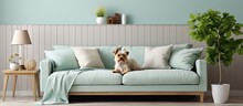 Modern Mint Sofa Wooden Console Coffee Table Lamp Plant Poster Frame Pillows Plaid And Adorable Dog In Stylish Living Room