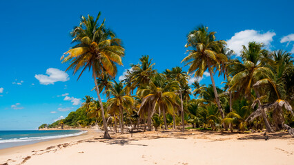 Wall Mural - Playa