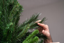 Mano Sosteniendo Agujas De Rama Filosas De árbol De Navidad Artificial 