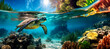 panorama of green Sea Turtle swimming near the shore on a sunny day. Chelonia mydas