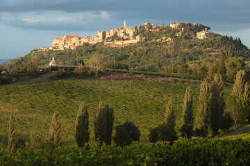 Wall Mural - Lush green vineyards and the charming, historic Tuscan hilltop village Montepulciano on a sunny, summer evening in the rural countryside of Tuscany, Italy.