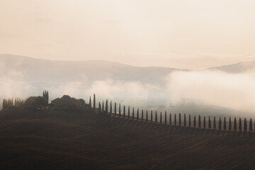 Wall Mural - Silhouette of a row of Tuscan cypress trees along a ridge during a hazy morning at Val d'Orcia in the scenic countryside farmland and rolling hills of rural Tuscany, Italy.