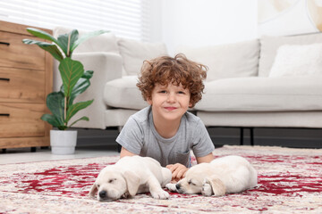 Sticker - Little boy with cute puppies on carpet at home