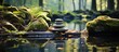 © TheWaterMeloonProjec - Stone towers in a serene forest pond captured in zen photography to convey tranquility