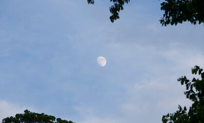 Wall Mural - Blue sky with white clouds and full moon in the morning. Natural background.