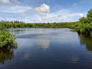 Wall Mural - lake in the park