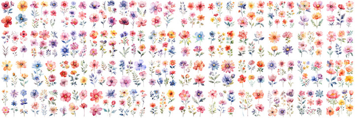 A Big watercolor floral package collection. Use by fabric, fashion, wedding invitation, template, poster, romance, greeting, spring, bouquet, pattern, decoration and textile.	