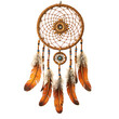 Dream Catcher Isolated on Transparent or White Background, PNG