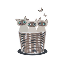 Little Siamese Funny Kittens In A Basket Isolated On A White Background. Vector.