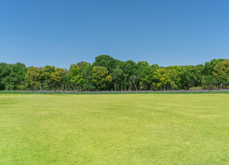 Wall Mural - empty grassland and clear sky background in the park