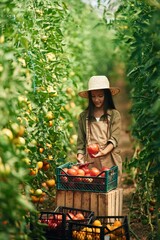 Wall Mural - Front view, standing. Little girl is in the garden with tomatoes