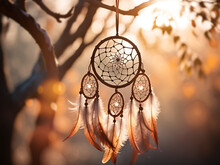 Dream Catcher Hanging On A Tree. Sunset.