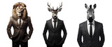 Fototapeta Fototapety ze zwierzętami  - Set of creative animal head in business suit and standing posing, Lion, deer, zebra, Contemporary art idea concept design, isolated on white and transparent background, ai generate
