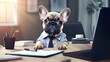 Portrait of cute french bulldog puppy wearing business suit and sitting on the tabletable in office