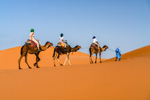 Family with one child enjoying a camel ride in the desert, Erg Chebbi, Merzouga, Sahara Desert, Morocco