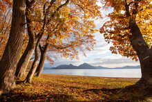View Of Lake Toya, Framed By Autumn Trees In The Evening, And Volcanic Island In The Middle Of The Lake, Abuta, Hokkaido, Japan