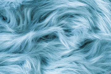  Blue fur texture top view. Blue sheepskin background. Fur pattern. Texture of blue shaggy fur. Wool texture. Sheep fur close up