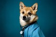 Photography in the style of pensive portraiture of a smiling norwegian lundehund wearing a doctor costume against a sapphire blue background. With generative AI technology