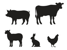 Collection Of Silhouettes Of Farm Animals - Cow, Pig, Sheep, Rabbit, Chicken. Animals Side View. Vector Illustration Isolated On White Background