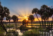 Sun with sun rays in blue sky with clouds at unset over Myakka River State Park in Sarasota Florida USA