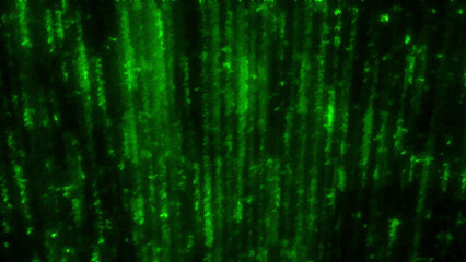 Fototapete - Bright stream of glowing lines in style of magic. Motion. Beautiful glow of moving stream of shiny stripes. Flow of energy or magic in form of glowing lines