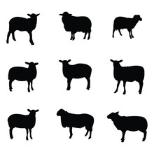 Set Of 9 Lamb Icons With Vintage Texture. The Set Of Sheep Silhouette
