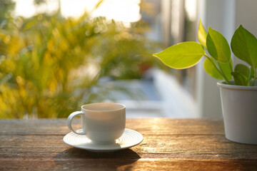 Wall Mural - White coffee cup at outdoor