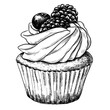 Cupcake vintage vector sketch food illustration 
