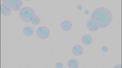 Poster - Abstract flowing soap bubbles on a light beige background. Design. Flying blue transparent spheres.