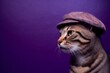 Photography in the style of pensive portraiture of a funny cheetoh cat wearing a detective hat against a deep purple background. With generative AI technology