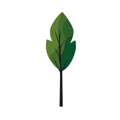 Poster - Green summer forest tree flat vector icon.