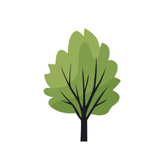 Poster - Green summer forest tree flat vector icon.