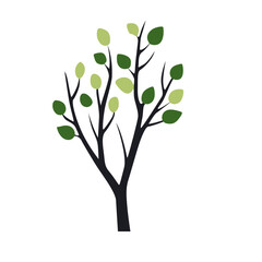 Poster - Green summer forest tree flat vector icon.
