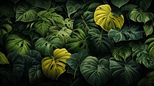 Green And Yellow Leaves