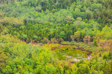 Views hiking beehive loop in Acadia National park. Greenery, rocky coastline, and lakes, and Sand Beach, seen from a top the mountain.